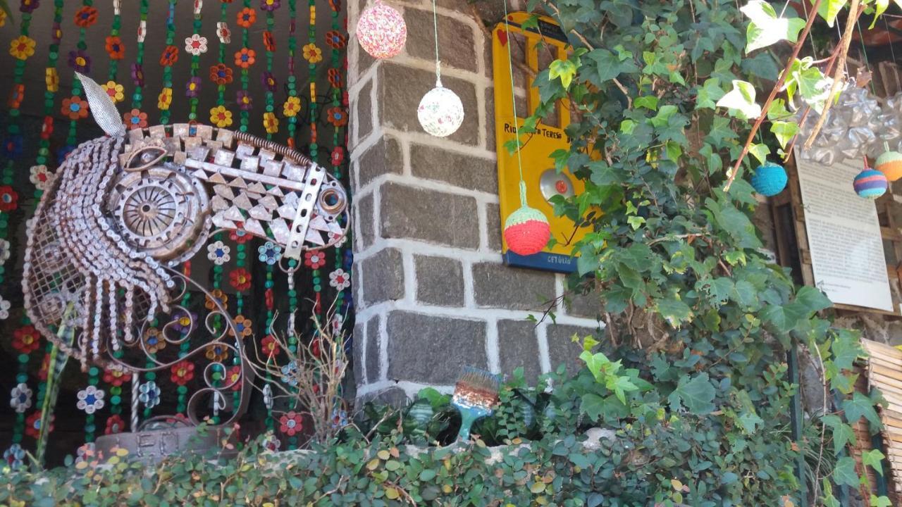 Criatividade Na Serra Apartment Petrópolis Екстериор снимка